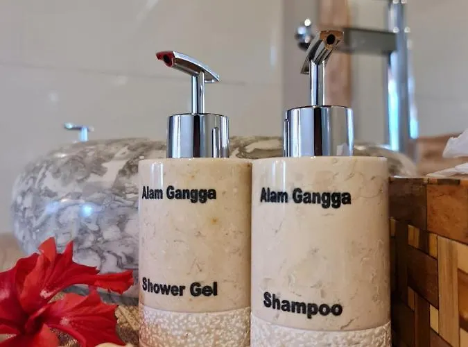Alamgangga Tirta Gangga